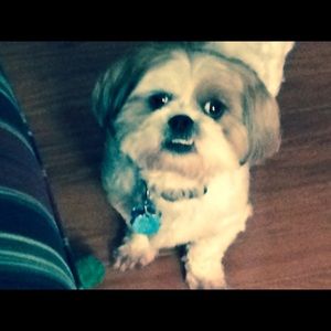 Meet your Posher, Janet